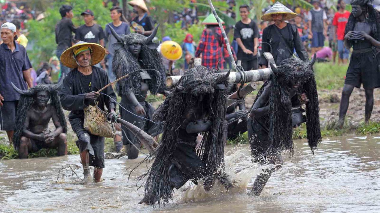 Ritual 'Kesurupan' Kerbau di Banyuwangi yang Masih Lestari