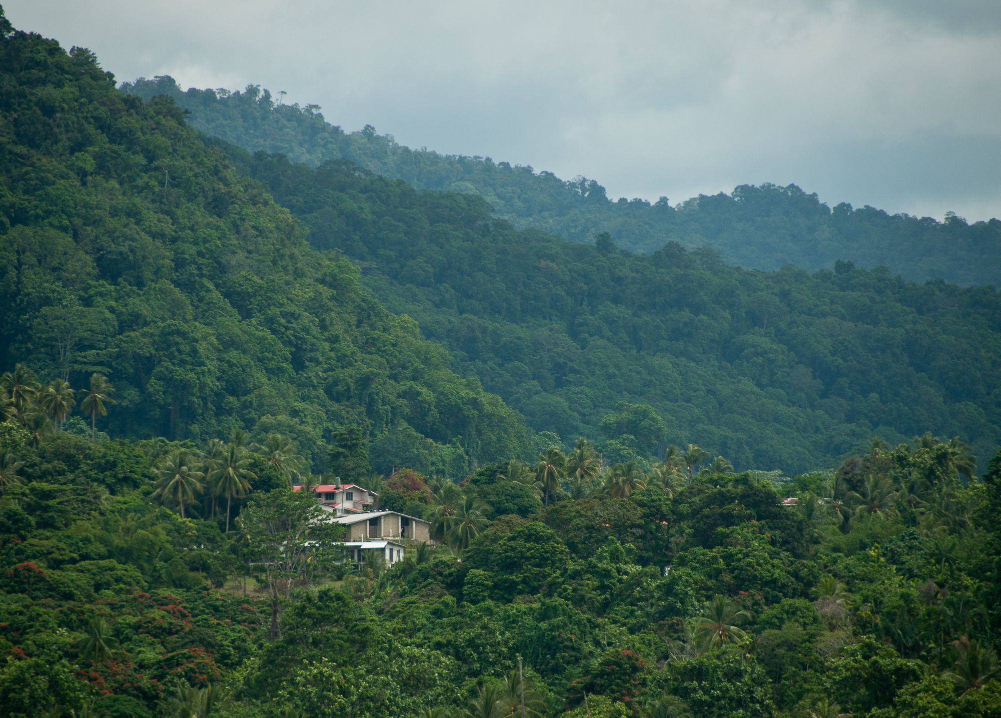 Aturan Adat Sasi, Cara Orang Papua dan Maluku Melestarikan Alam