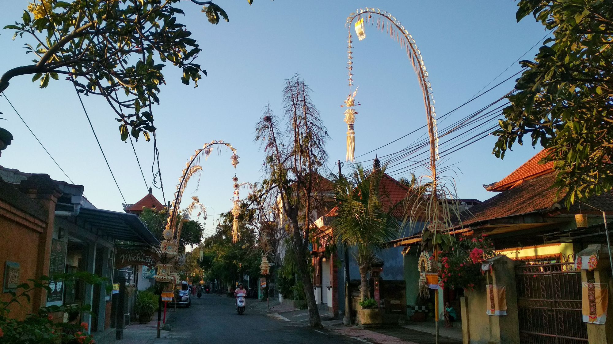 Makna Filosofi Janur Kuning pada Masyarakat Bali