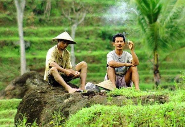 Roman Kampung Halaman: Kisah Kesahajaan Masyarakat Desa Sukosari