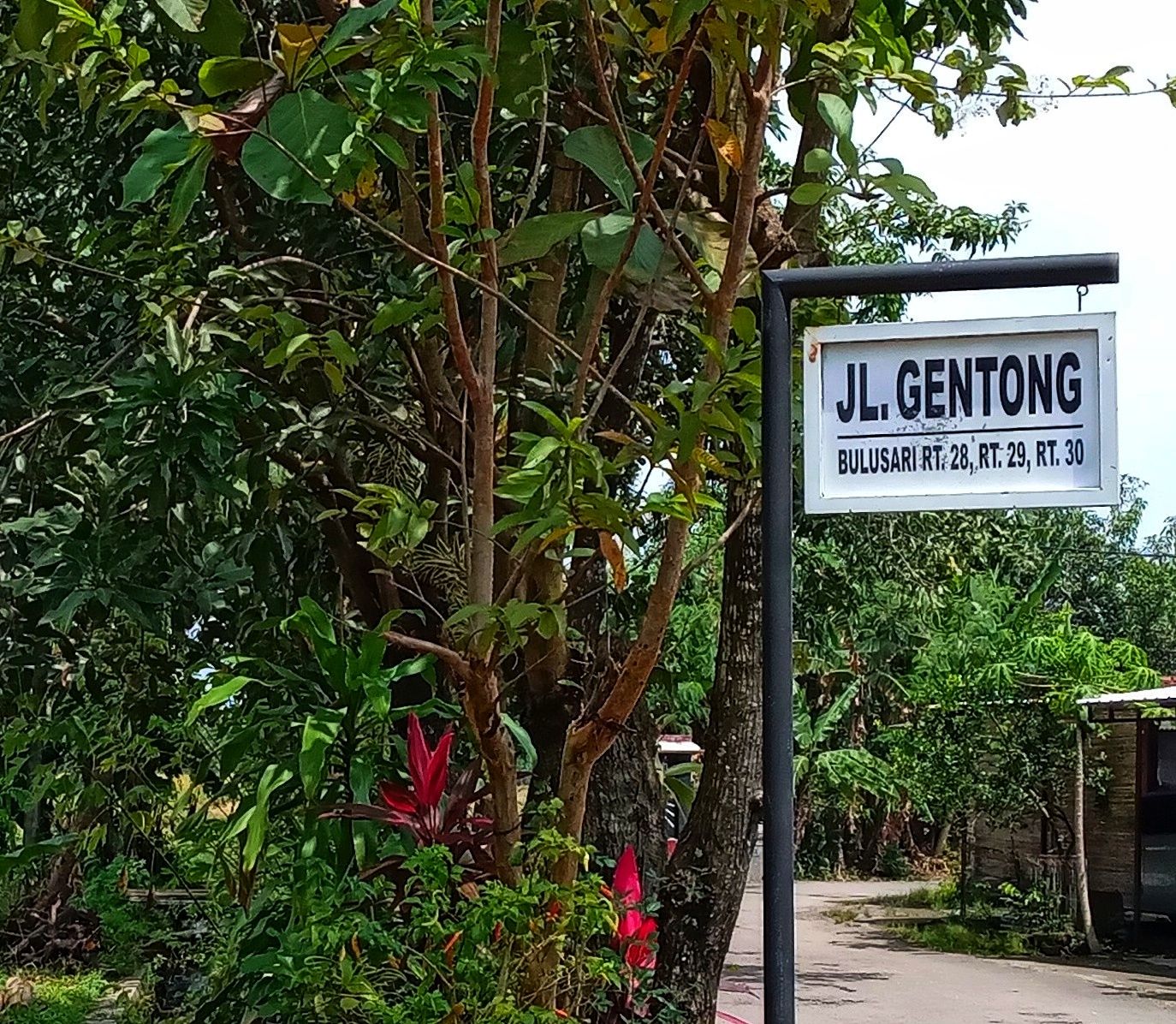 Sekilas tentang Nama-Nama Gang di Dusun Mbulusari