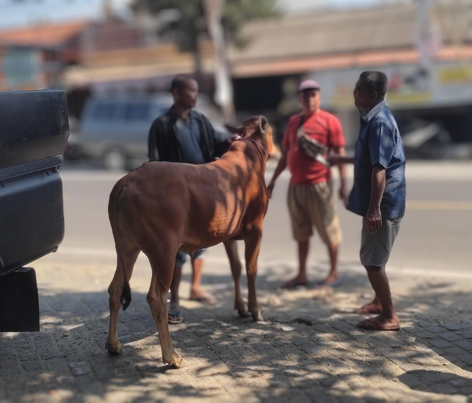 Pasar Keppo, Pusat Perdagangan Sapi di Madura yang Melintasi Zaman