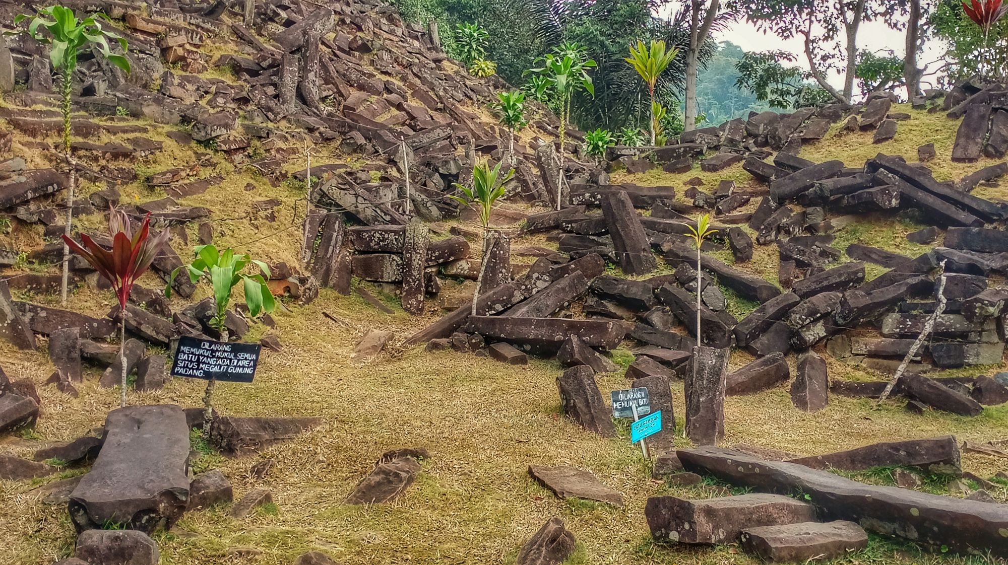 Gunung Padang dalam Perlintasan Sains dan Budaya